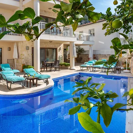 Truffle - Cool Mint Apartment